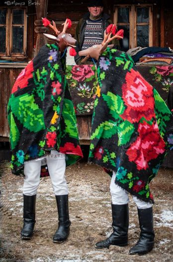 1504134_631042633624027_1953966532_n