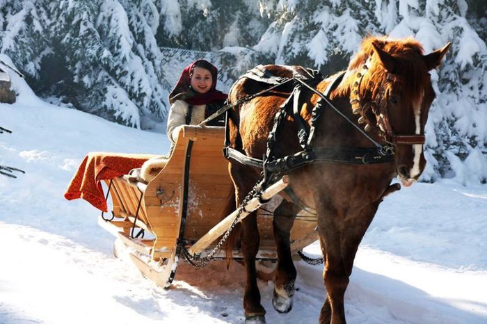 1779982_657310610997229_1812648983_n - Viata la tara