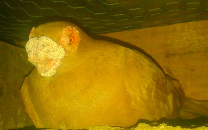 20140225_202723 modified