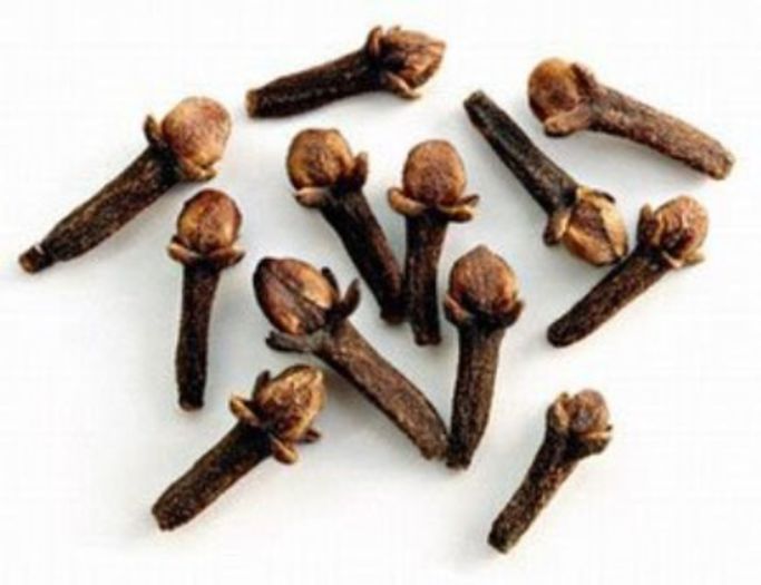 Arborele de cuisoara-boboci uscati; (Caryophyllus aromaticus)bobocii se culeg Manual si se usca pe rogojini de palmier
