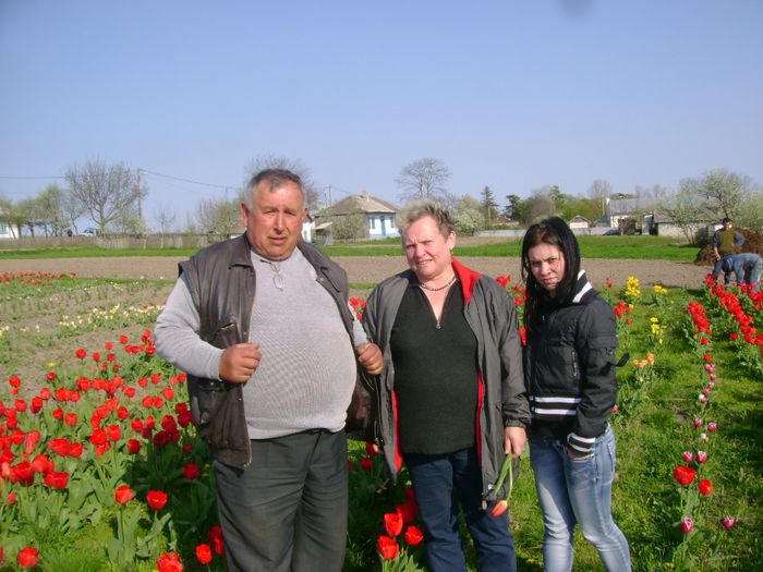 DSC00030 - gradina lui nenea jorj