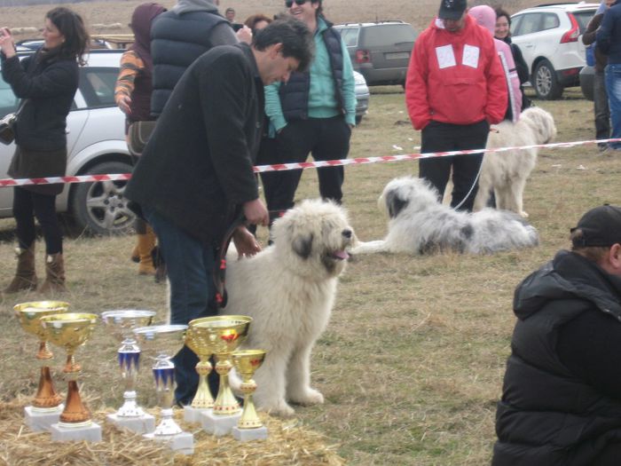 expo club tohanul nou - Sasha