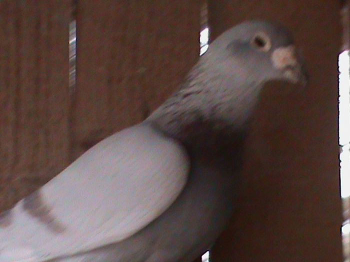 DSC00461