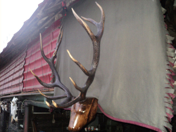 DSC07620 - LUCRARI FACUTE DE MINE SI DE TATAL MEU