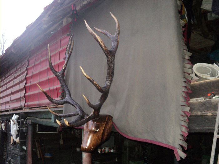 DSC07621 - LUCRARI FACUTE DE MINE SI DE TATAL MEU