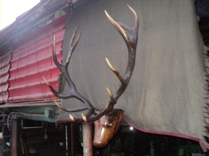 DSC07623 - LUCRARI FACUTE DE MINE SI DE TATAL MEU