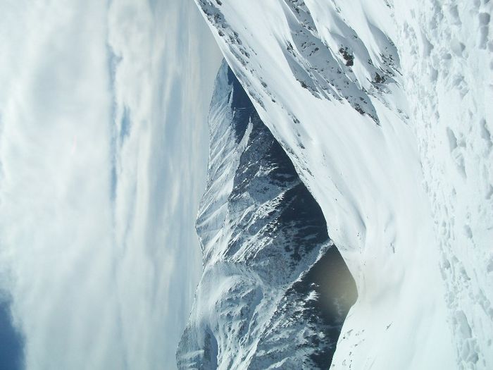 100_1671 - Copy - Copy - Copy