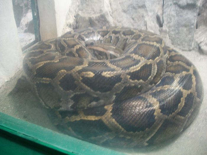 100_1698 - Copy - Copy - Copy