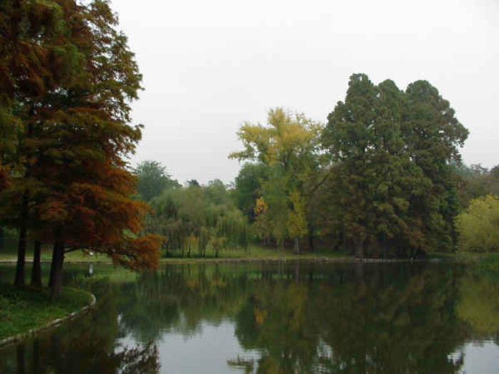 LAC - Parcul Romanescu - orasul meu drag-CRAIOVA