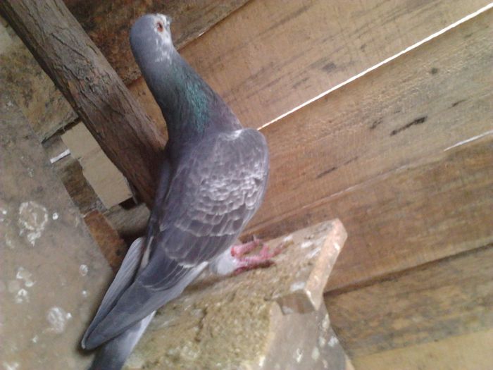 IMG_20140223_125307_227