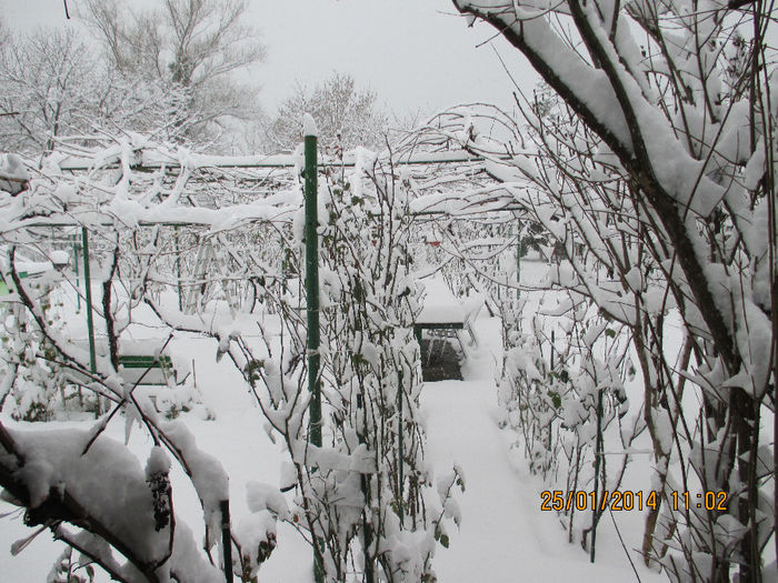 foto 2014 094 - La SCHELA e si iarna Vezi in 2014