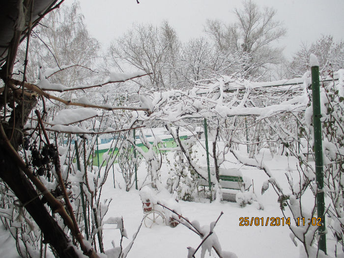 foto 2014 095 - La SCHELA e si iarna Vezi in 2014