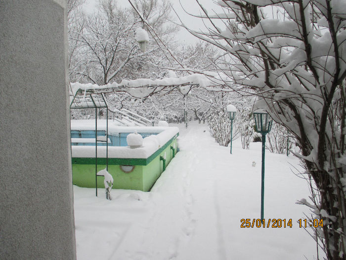 foto 2014 098 - La SCHELA e si iarna Vezi in 2014