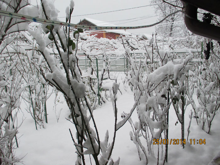 foto 2014 099 - La SCHELA e si iarna Vezi in 2014