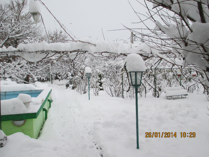 foto 2014 106 - La SCHELA e si iarna Vezi in 2014