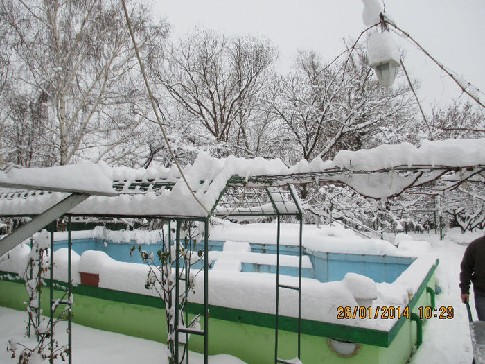 foto 2014 107 - La SCHELA e si iarna Vezi in 2014