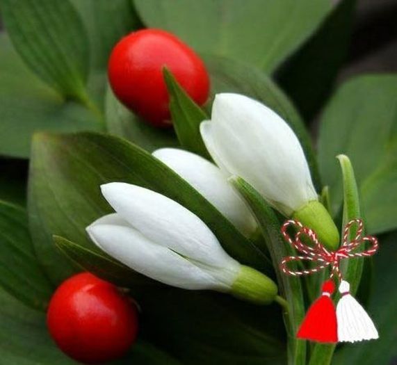 2-martie-484x445 - Martisor