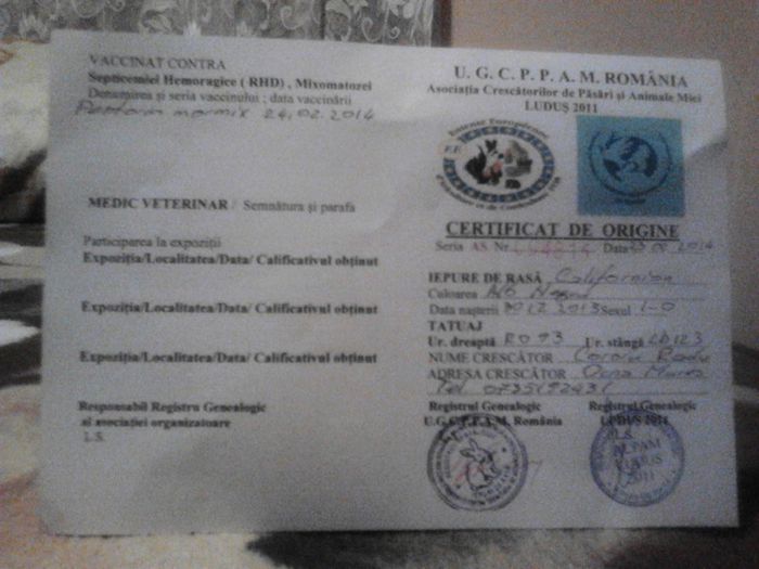 Acte de provinienta la M la 2luni - Californieni