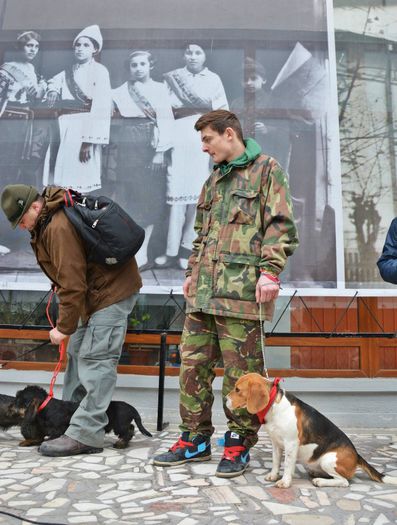 1795441_852766421416271_1830212174_o