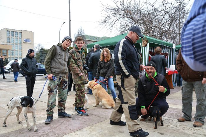 1960854_852766098082970_2036629028_o