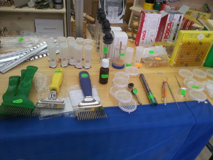 20140204_101139 - Targ Apicol Slobozia 2014