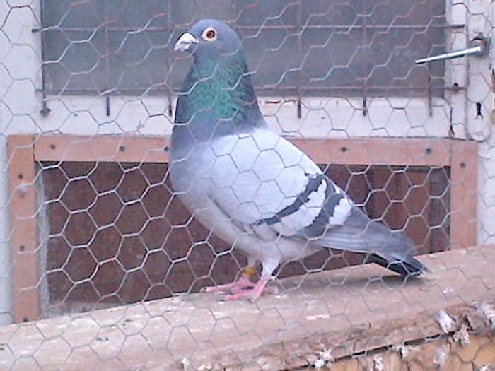 IMG-20140215-01155; xxxxxxxxxxxxxxx
