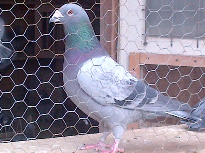 moulemans; xxxxxxxxxxxx
