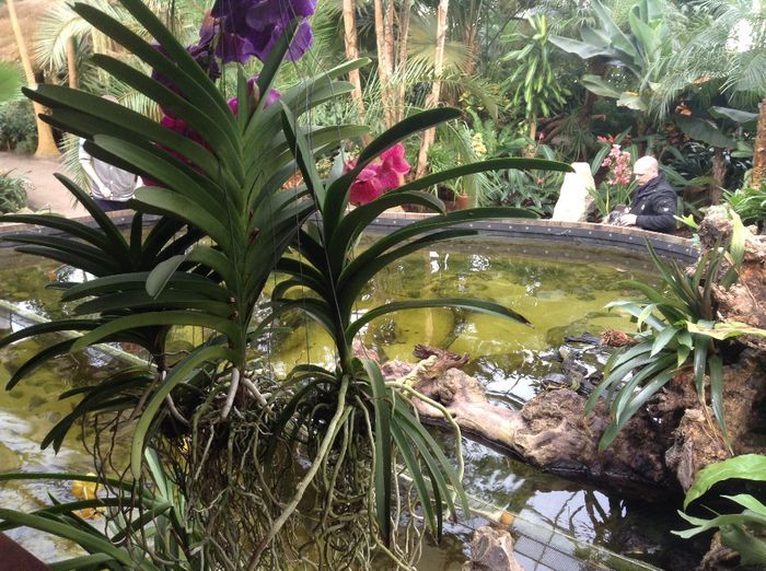 image - Pentru o zi am fost in Paradis