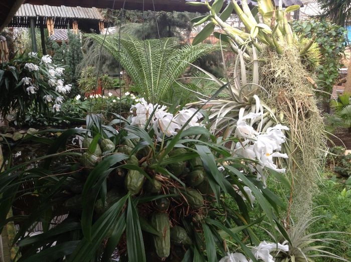 image - Pentru o zi am fost in Paradis