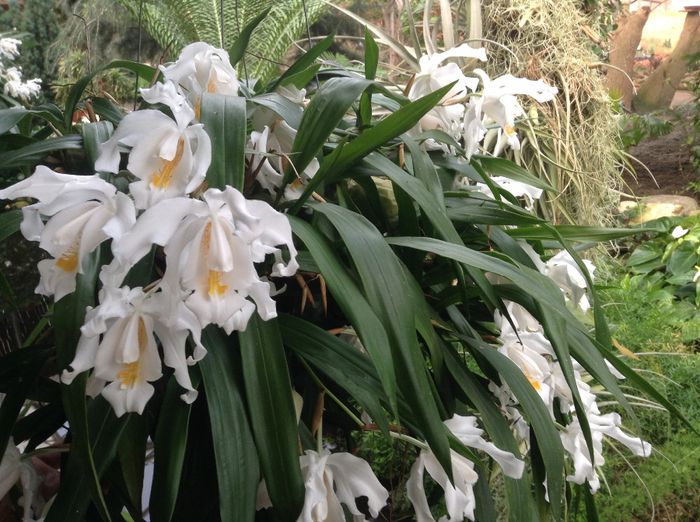 image - Pentru o zi am fost in Paradis