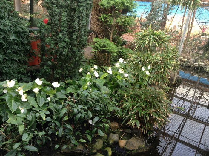 image - Pentru o zi am fost in Paradis