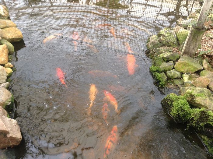 image - Pentru o zi am fost in Paradis