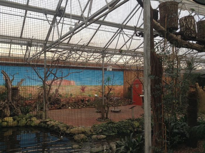 image - Pentru o zi am fost in Paradis