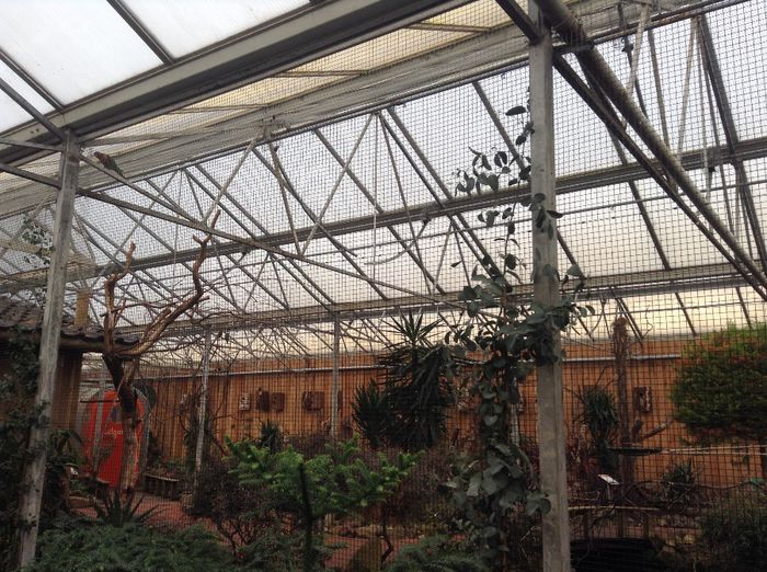 image - Pentru o zi am fost in Paradis