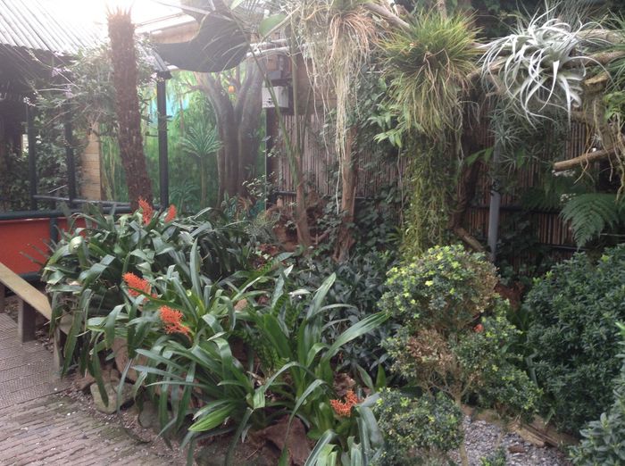 image - Pentru o zi am fost in Paradis