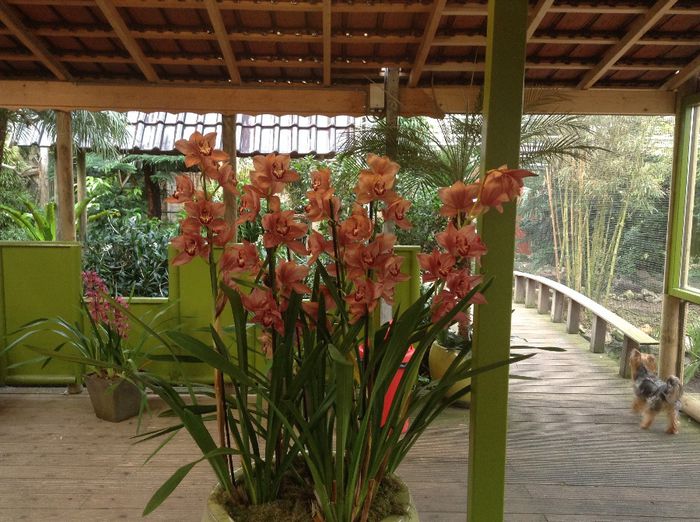 image - Pentru o zi am fost in Paradis