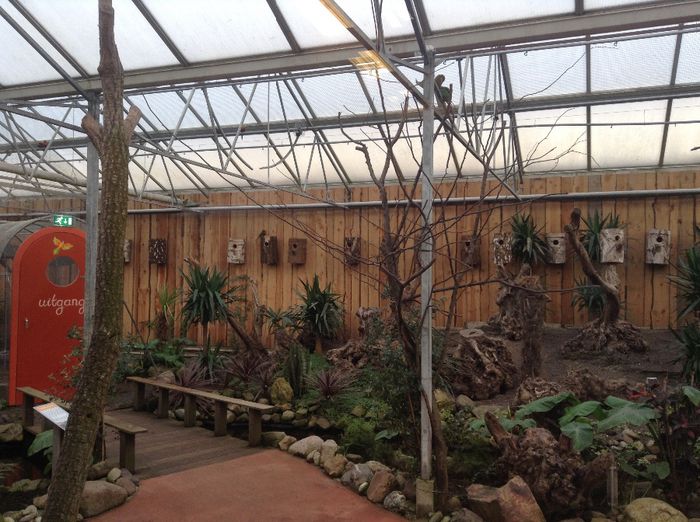 image - Pentru o zi am fost in Paradis