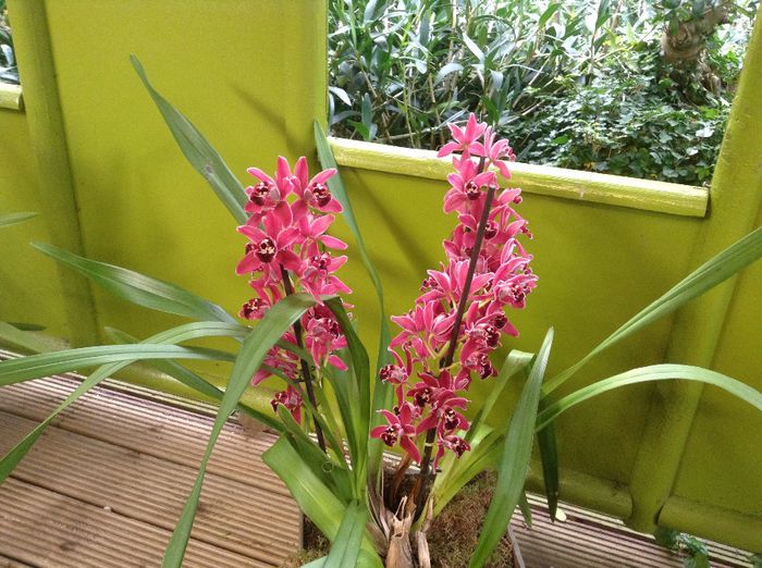 image - Pentru o zi am fost in Paradis