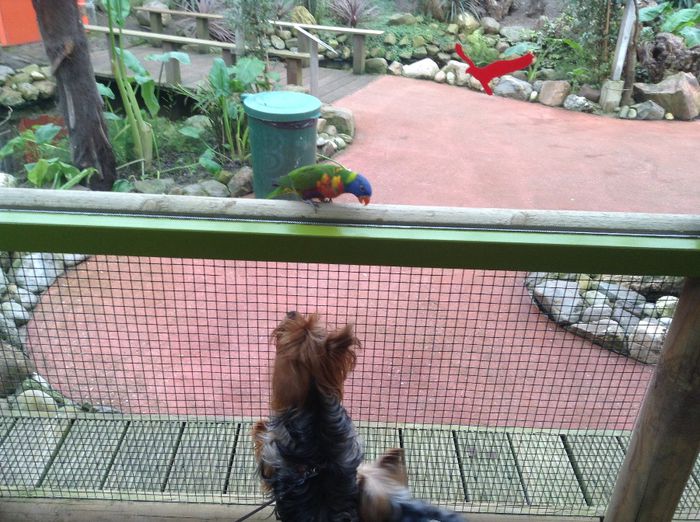 image - Pentru o zi am fost in Paradis