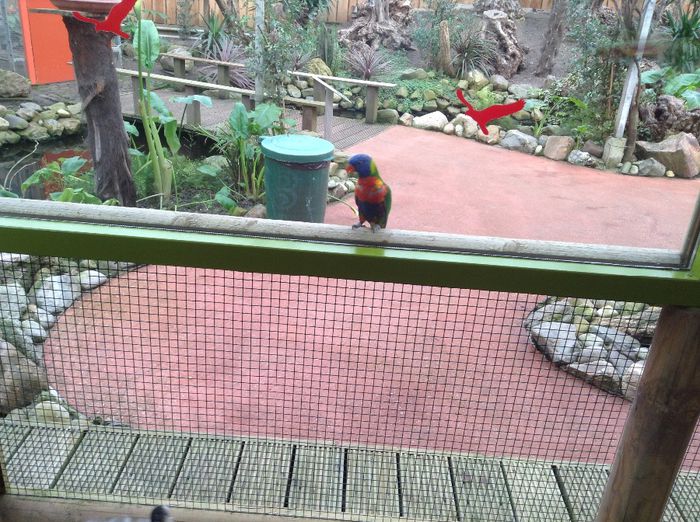 image - Pentru o zi am fost in Paradis