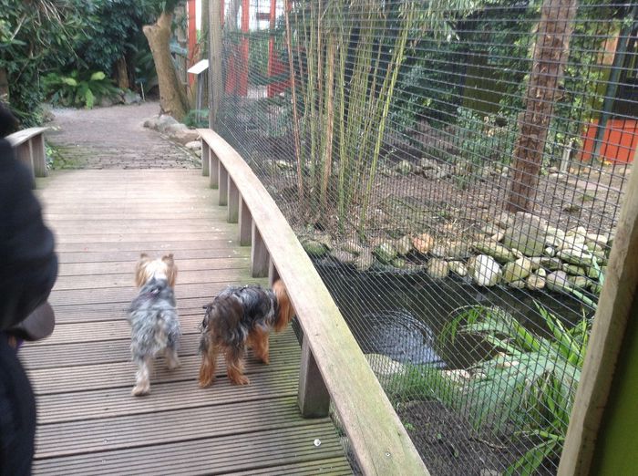 image - Pentru o zi am fost in Paradis