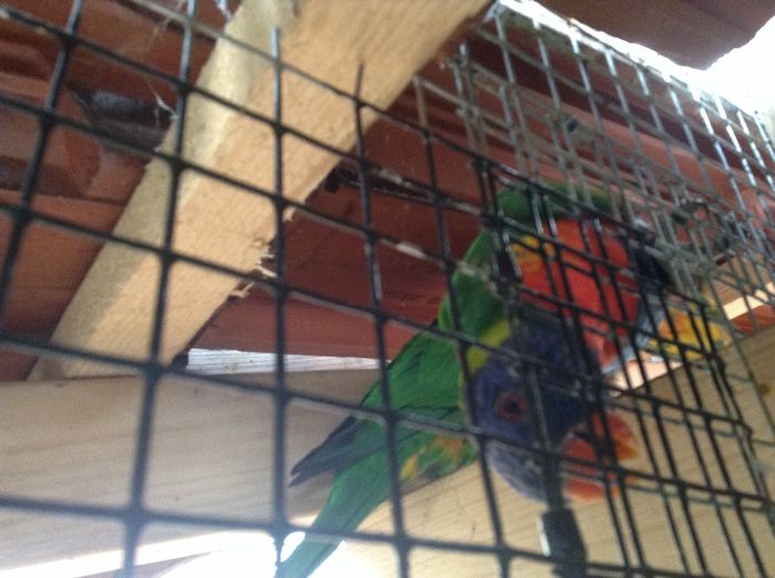 image - Pentru o zi am fost in Paradis