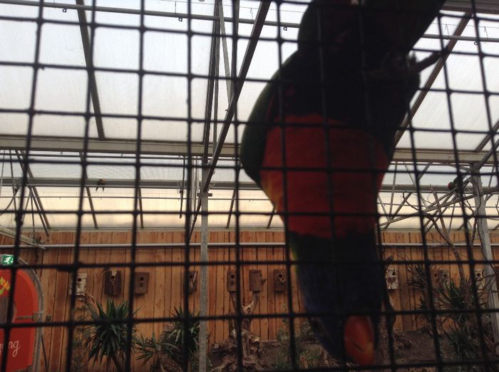 image - Pentru o zi am fost in Paradis