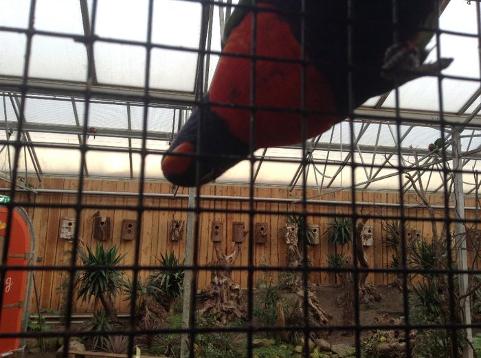 image - Pentru o zi am fost in Paradis