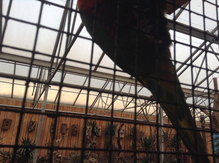 image - Pentru o zi am fost in Paradis