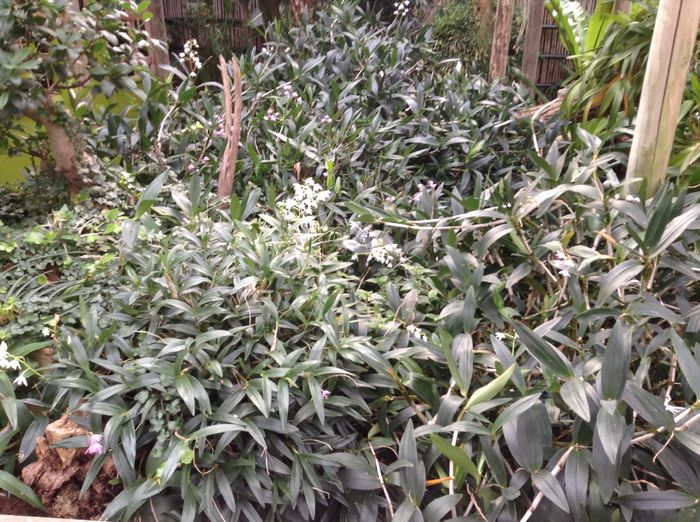 image - Pentru o zi am fost in Paradis