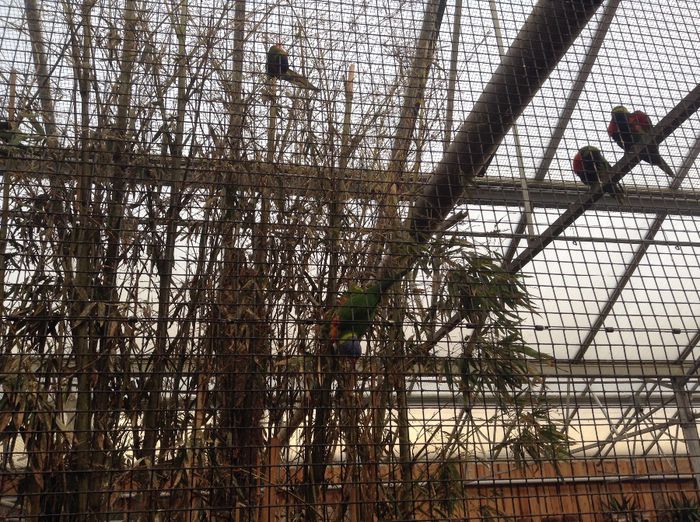 image - Pentru o zi am fost in Paradis