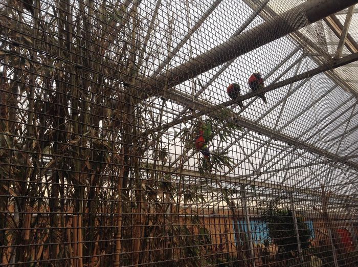 image - Pentru o zi am fost in Paradis