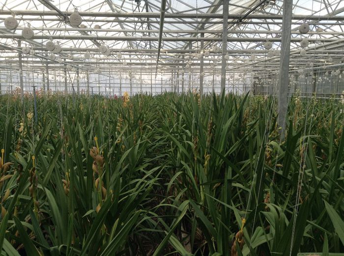 image - Pentru o zi am fost in Paradis