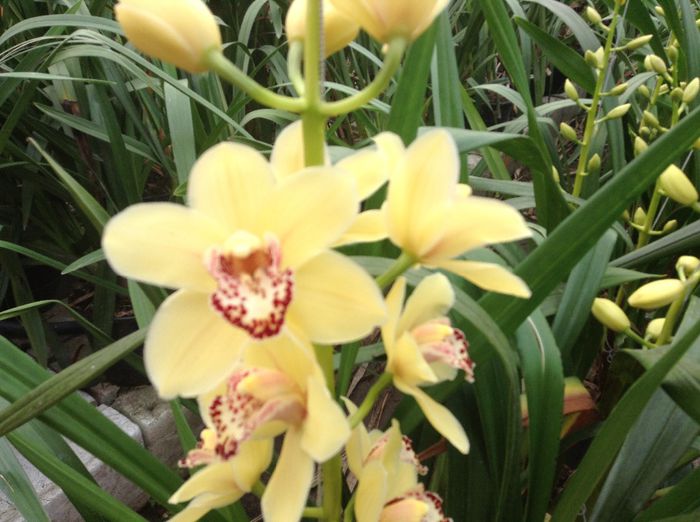 image - Pentru o zi am fost in Paradis